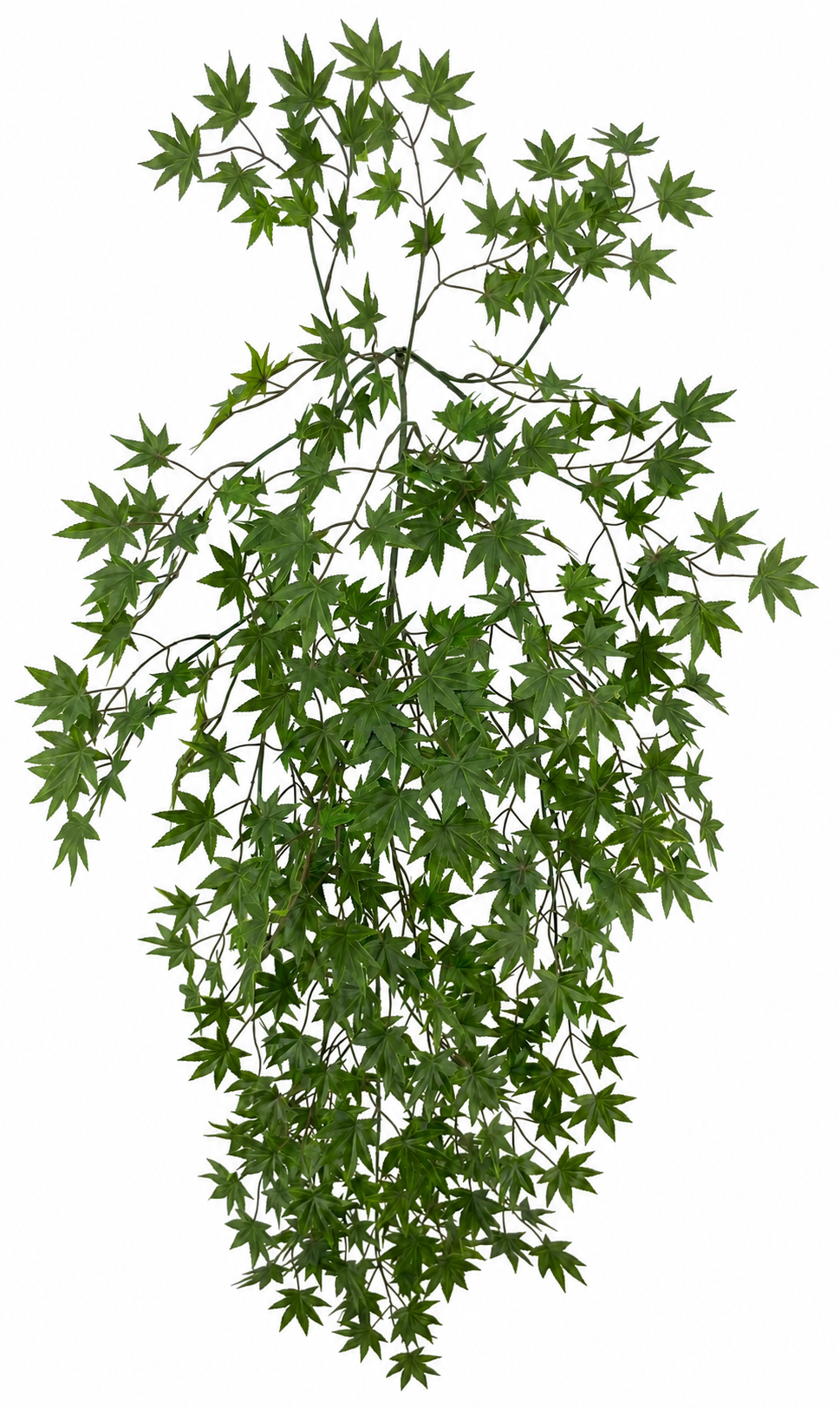 BG10788 JAPANESE MAPLE HANGING BUSH 51"
