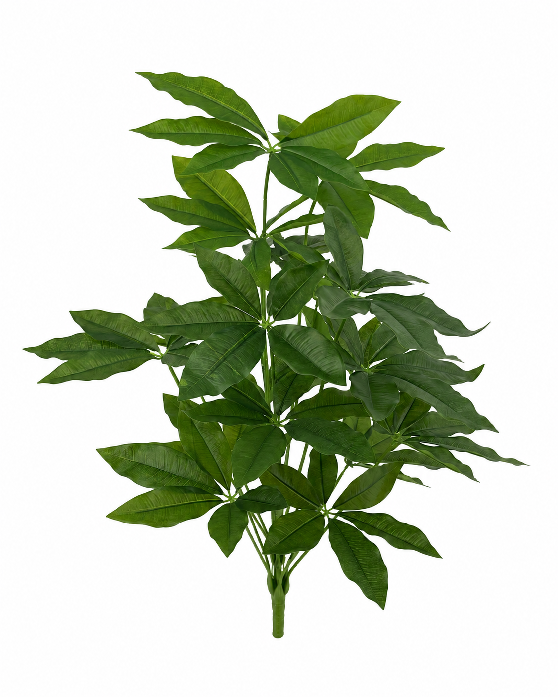 BG10792 MONEY TREE BUSH,39.5"