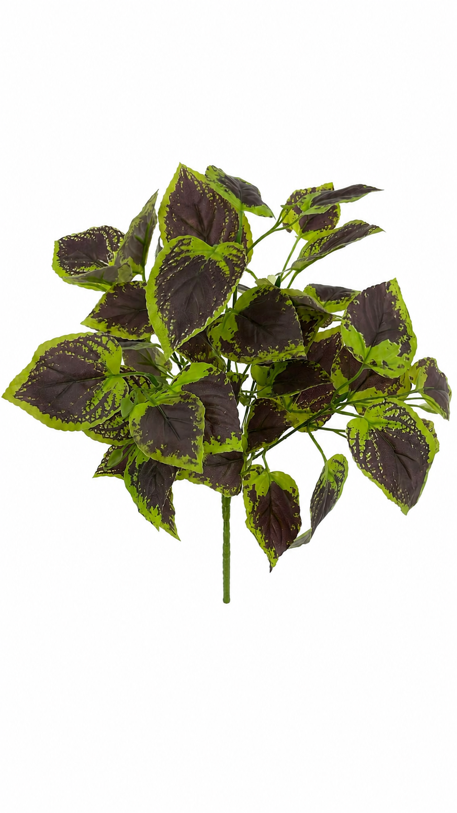 BG10797 PHILO BUSH,16"