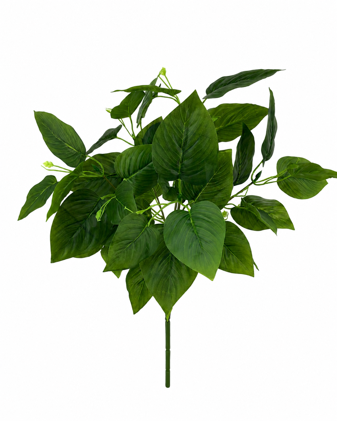 BG10797 PHILO BUSH,16"