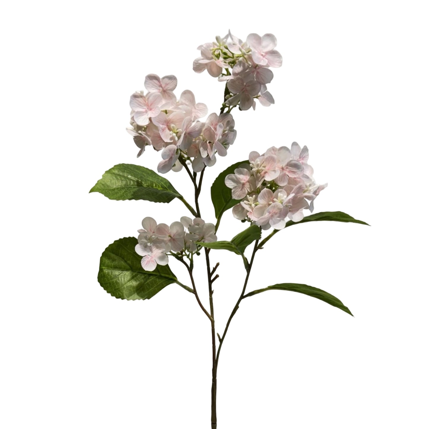 FL13622 PG HYDRANGEA SP (NAT) 32in-12/144P