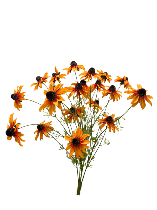 BF10268 BLACK EYE SUSAN BUSHx5 22"