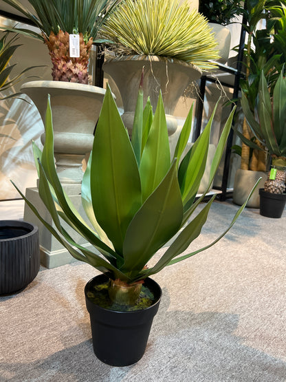 UVT1111GR POTTED AGAVE (UV),26"