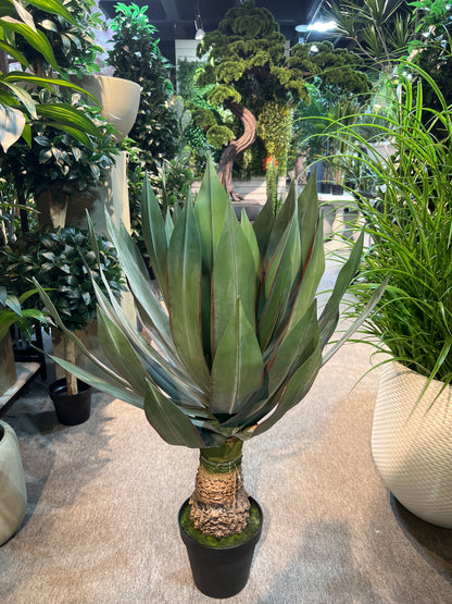 UVT1109GYRD POTTED AGAVE (UV),45"