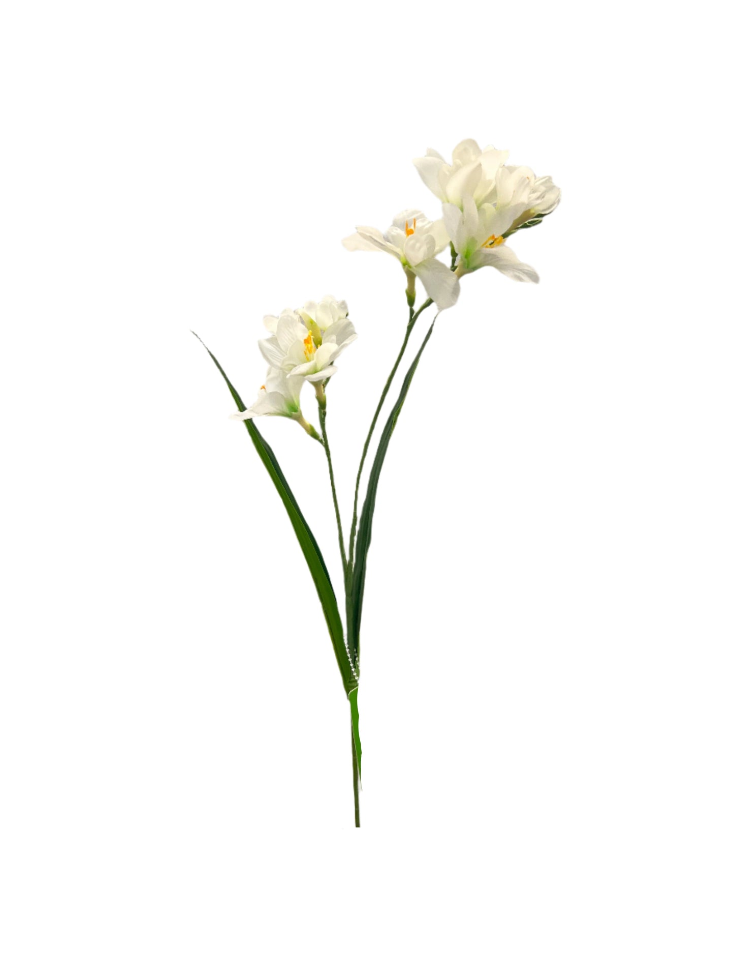 FL13606 FREEZIA SPRAYx2 (NAT) 25in-36/432P