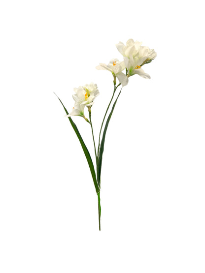FL13606 FREEZIA SPRAYx2 (NAT) 25in-36/432P