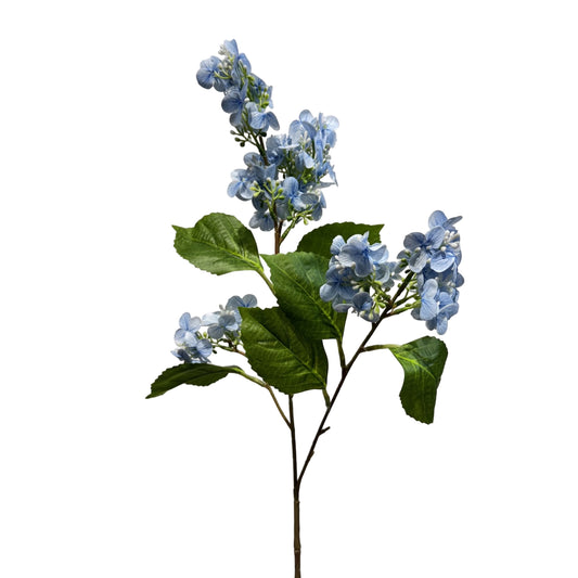 FL13622 PG HYDRANGEA SP (NAT) 32in-12/144P