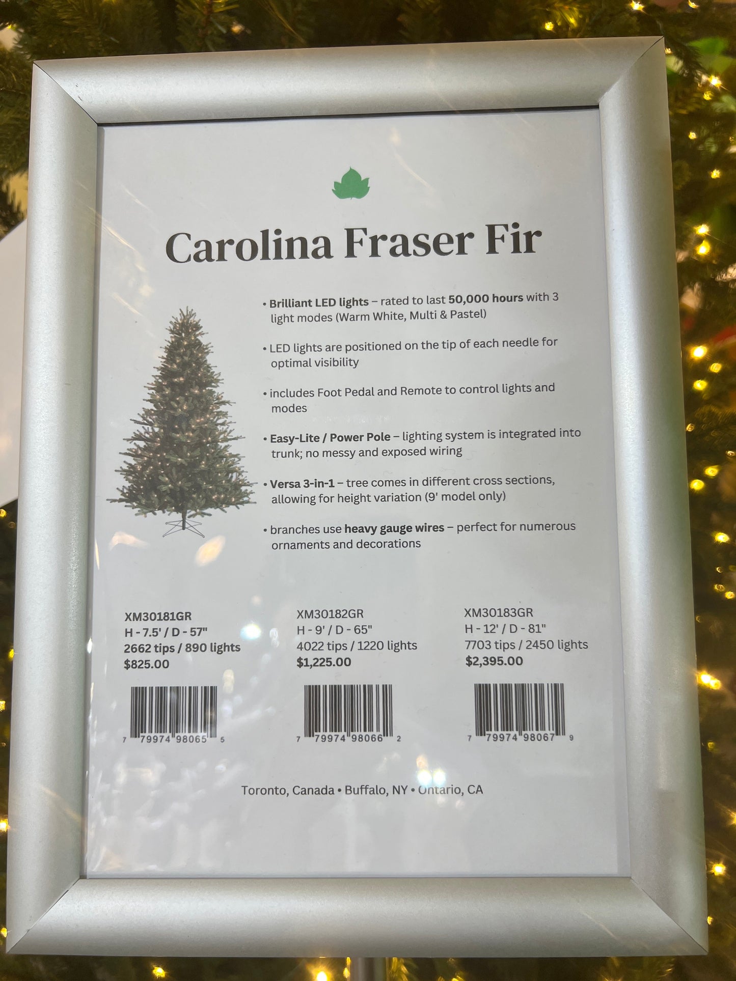 XM30181 CAROLINA FRASER FIR XMAS TREEx2662 TIPS 890 LED D57"x7.5'H