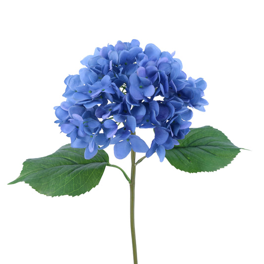 FL10802 HYDRANGEA,22in-12P/72/7.07'