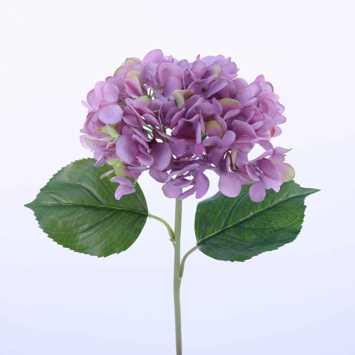 FL10802 HYDRANGEA,22in-12P/72/7.07'
