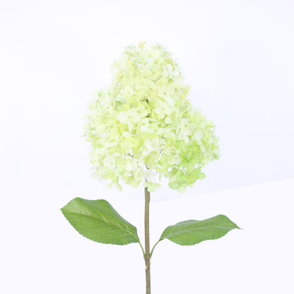 FL10803 GIANT PG HYDRANGEA,42in-12P/24/6.9'
