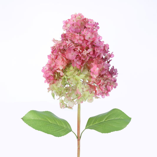 FL10803 GIANT PG HYDRANGEA,42in-12P/24/6.9'