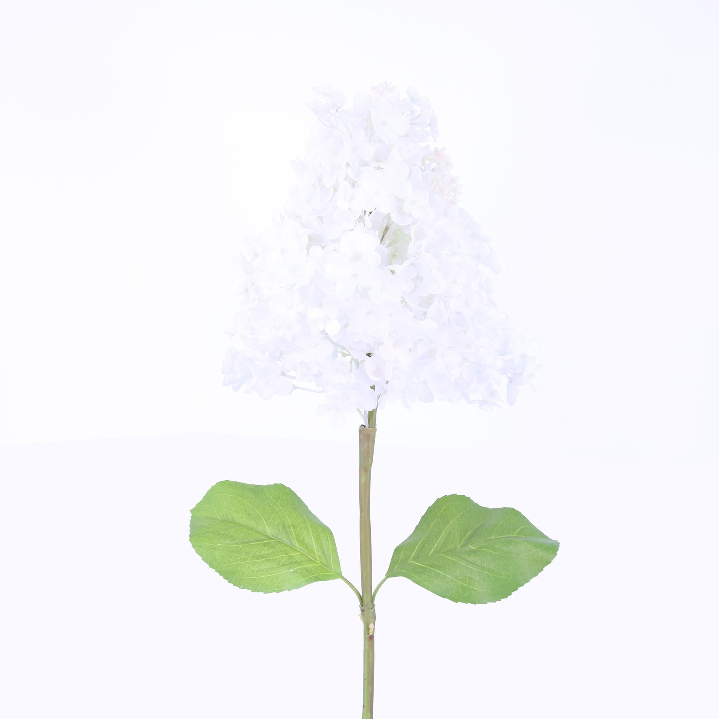 FL10803 GIANT PG HYDRANGEA,42in-12P/24/6.9'