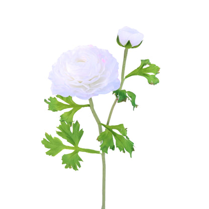 FL10806 RANUNCULUS SPx1F1B,20in-12P/120