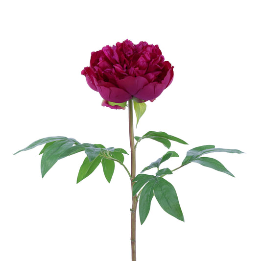 FL10808 PEONY SPRAY,26in-12P/96/7.5'