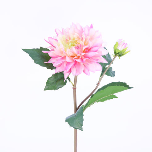 FL10810 DAHLIA SPRAYx1F1B,22in-12P/96/7.58'