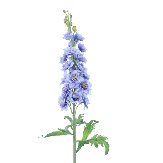 FL10813 DELPHINIUM,40in-12P/36/5.79'