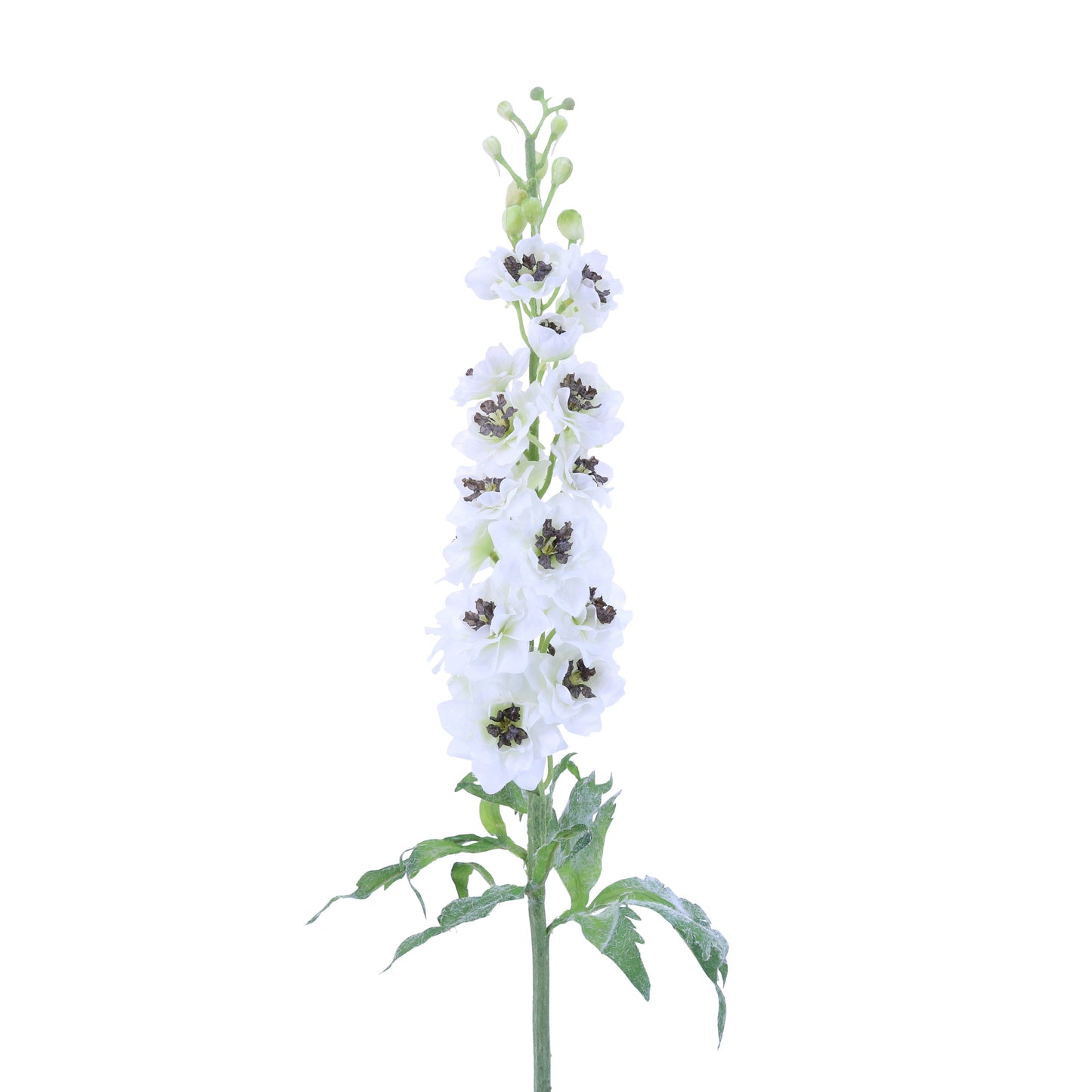 FL10813 DELPHINIUM,40in-12P/36/5.79'