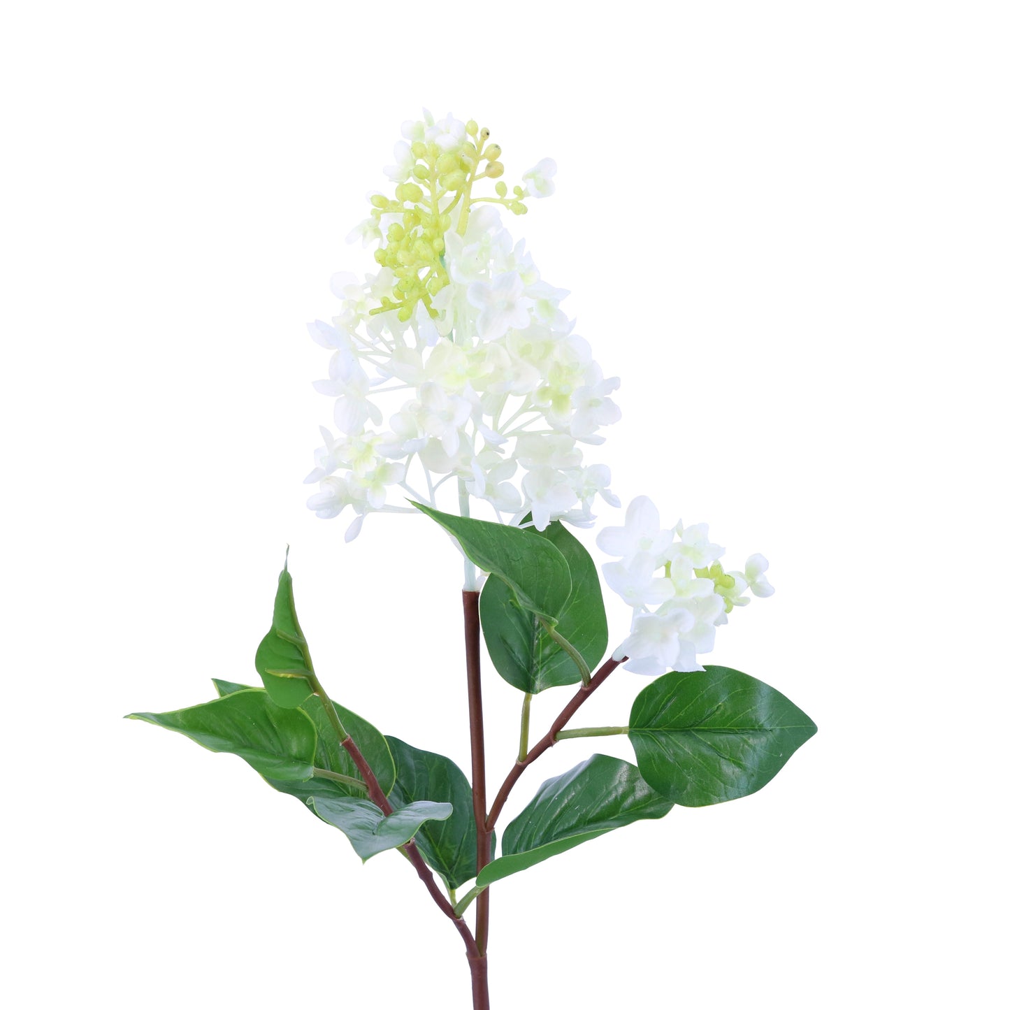 FL10816 LILAC SPRAY,22in-12P/144/6.56'