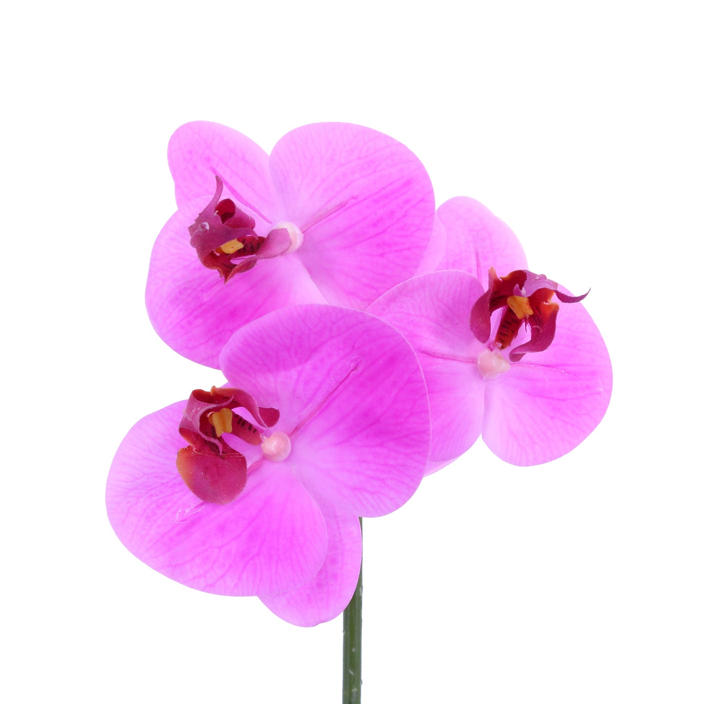 FL10843 PHALAENOPSIS PICKx3F,12in-12P/192