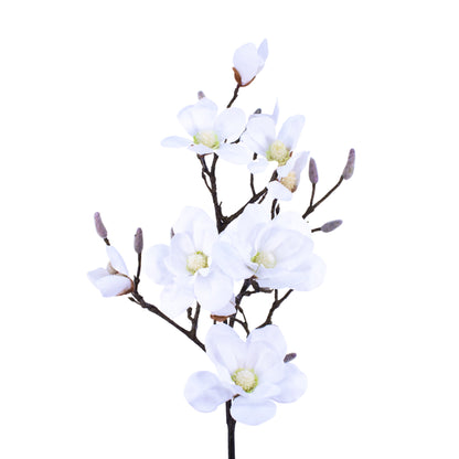 FL10849 MAGNOLIA SPx10F,47in-6P/36/13.42'