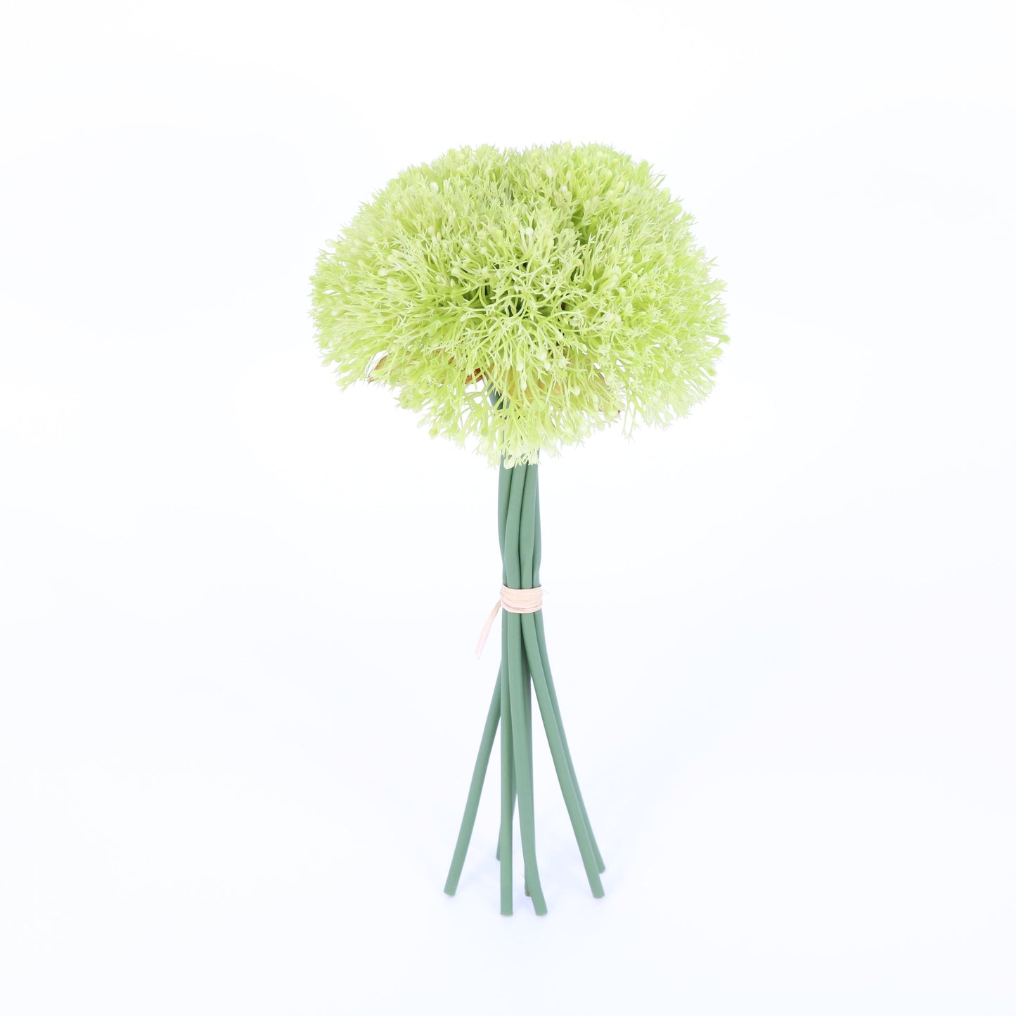 FL10896 YARROW BQTx7,12in-12P/72/7.54'