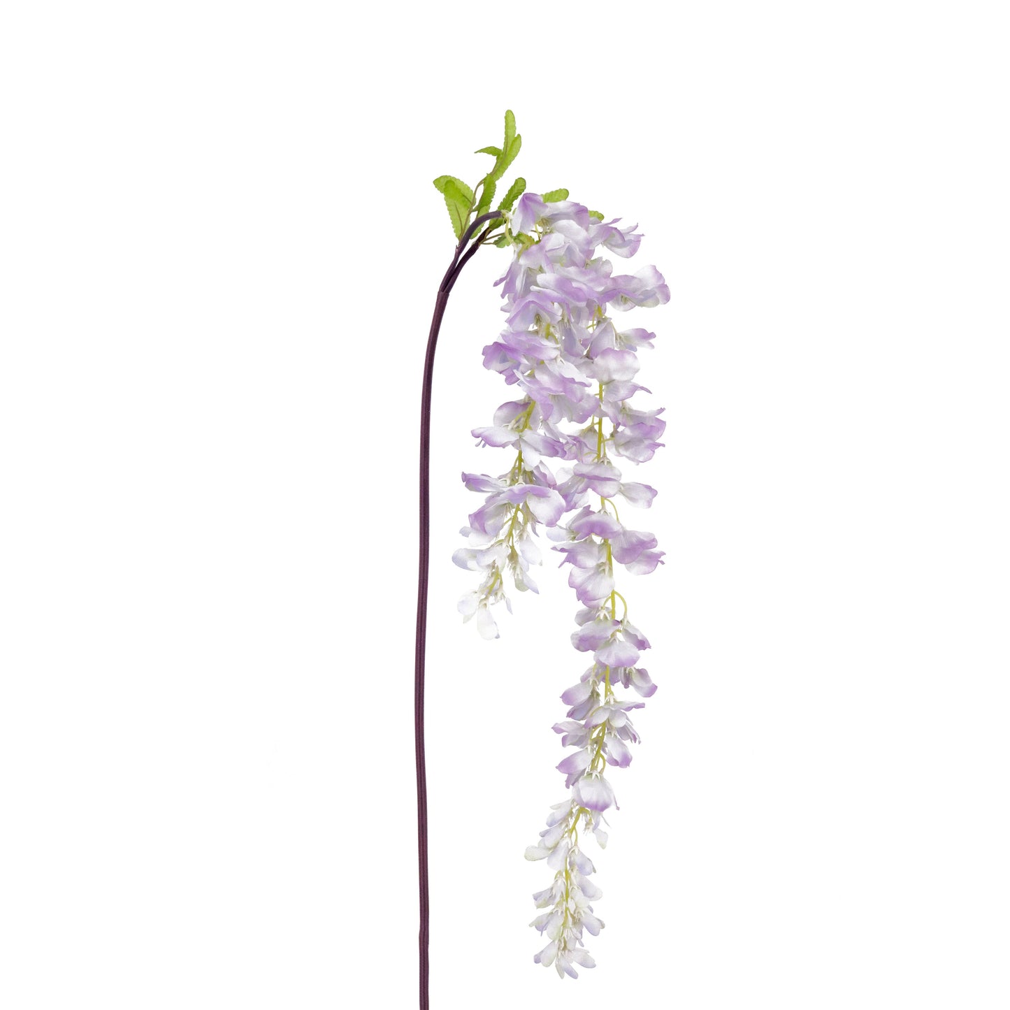 FL11041 WISTERIA SPRAYx2,65in-36P/108/10.58