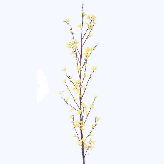 FL11111 FORSYTHIA SPRAY,68in-12P/72/8.9'