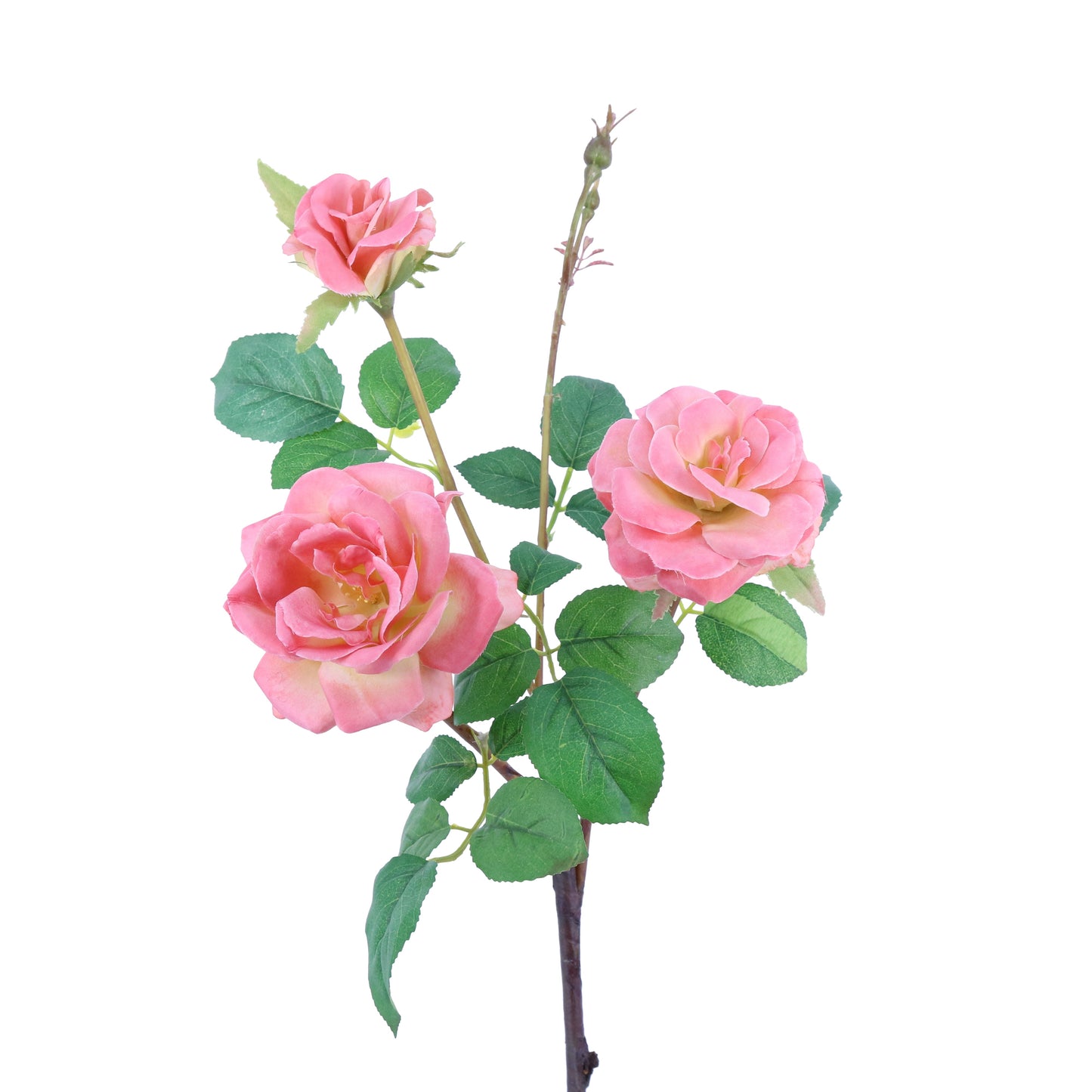 FL11122 ROSE SPRAYx3F,24in-24P/144/7.66'