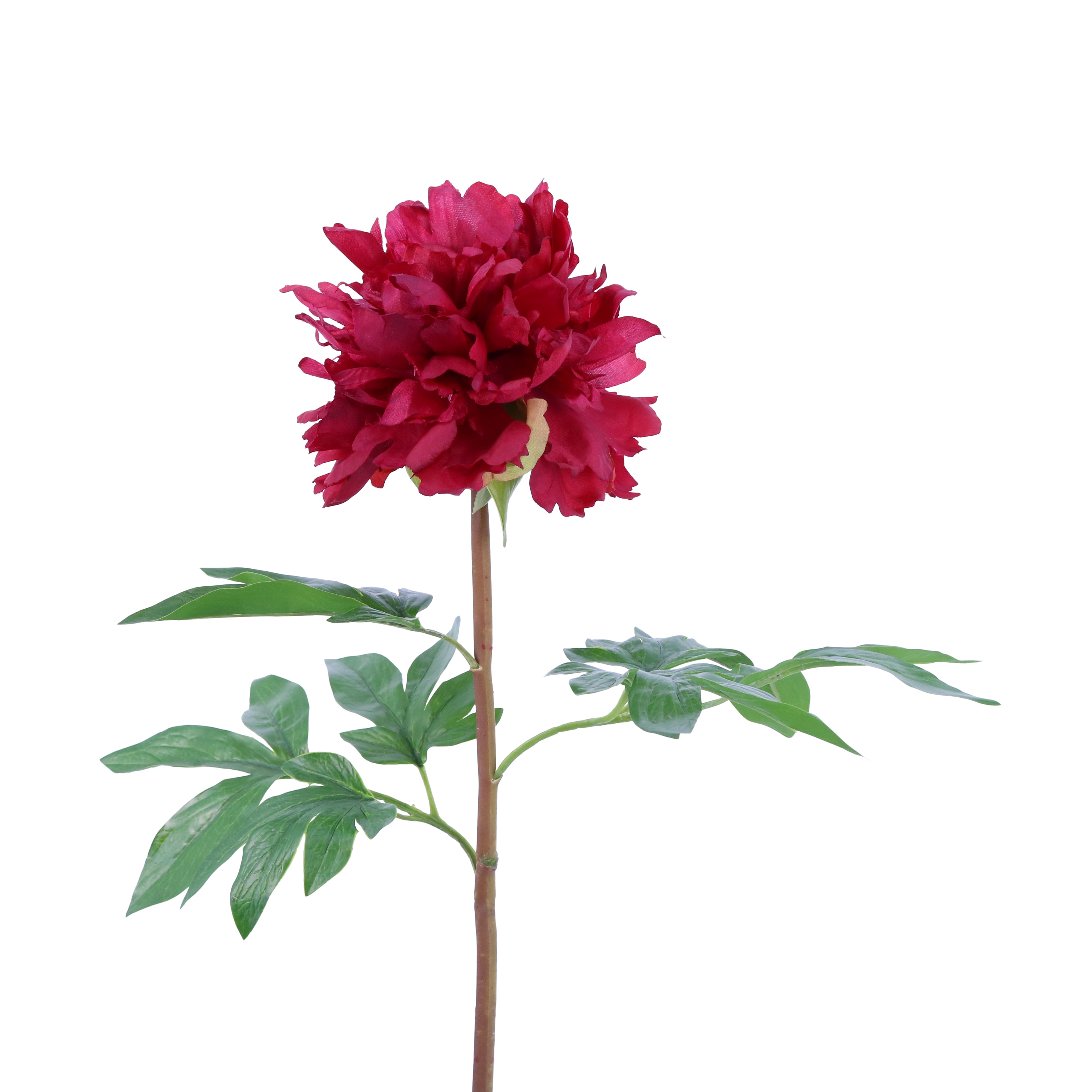 Peony☆ 36162 Peony | silkart