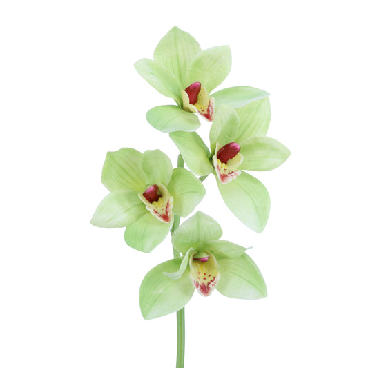 FL11229 CYMBIDIUM SPRAYx4F,22in-12P/96/6.37