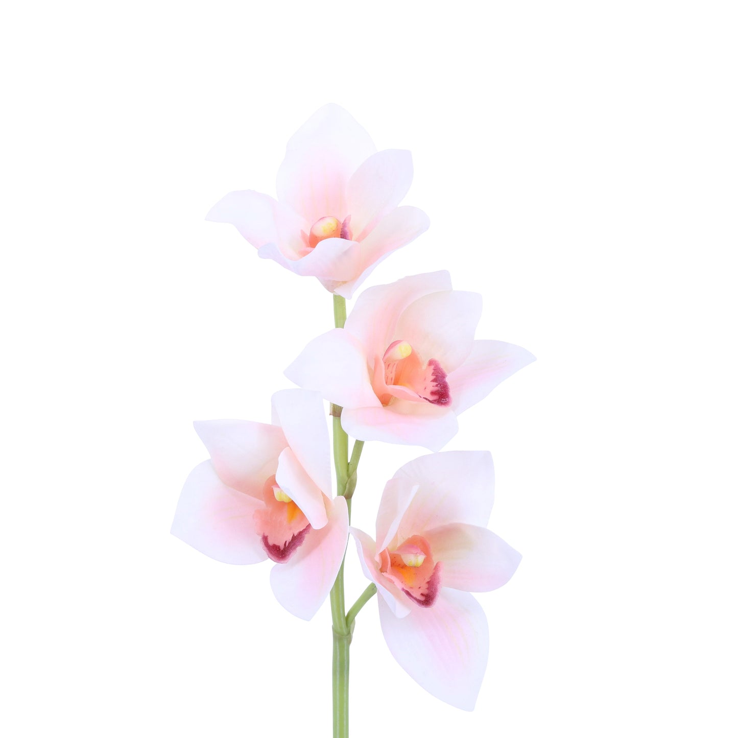 FL11229 CYMBIDIUM SPRAYx4F,22in-12P/96/6.37