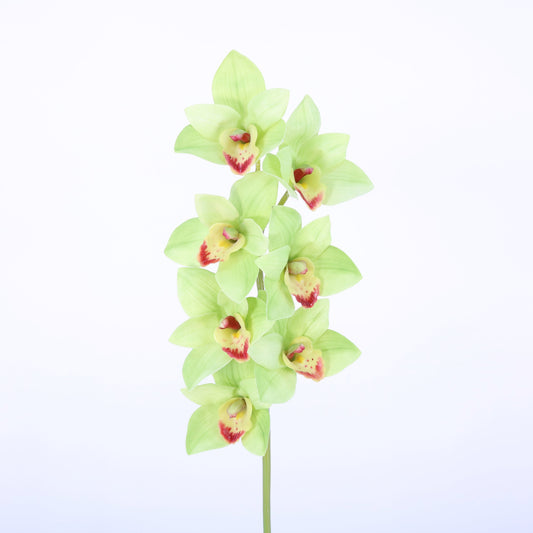 FL11230 CYMBIDIUM SPRAYx7F,27in-12P/60/6.18