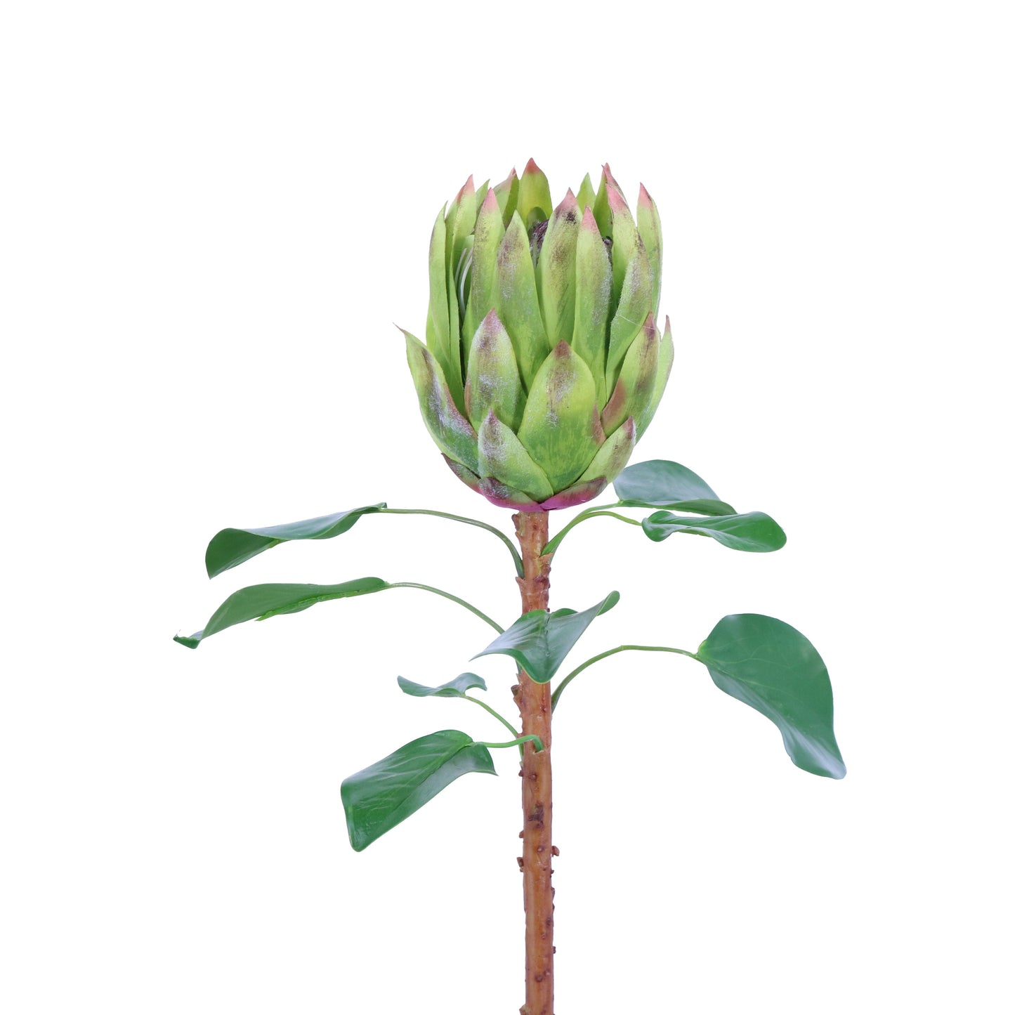 FL11233 KING PROTEA SPRAY,26in-12P/72/7.03'