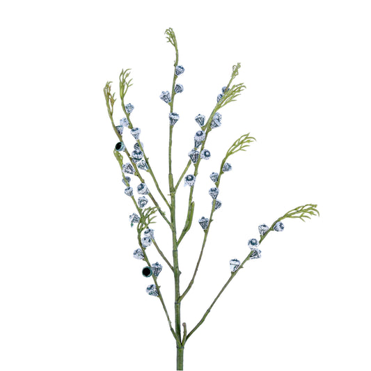 FL11237 EUCALYPTUS SEED SP,34in-12P/180/6.1