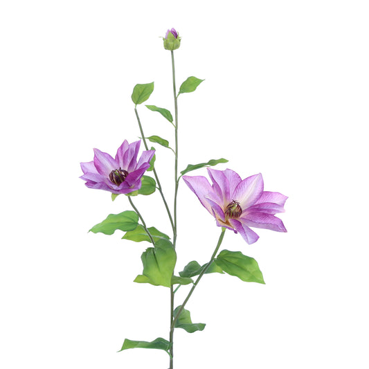 FL11406 CLEMATIS SPRAYx2F1B(NAT),34in-12P