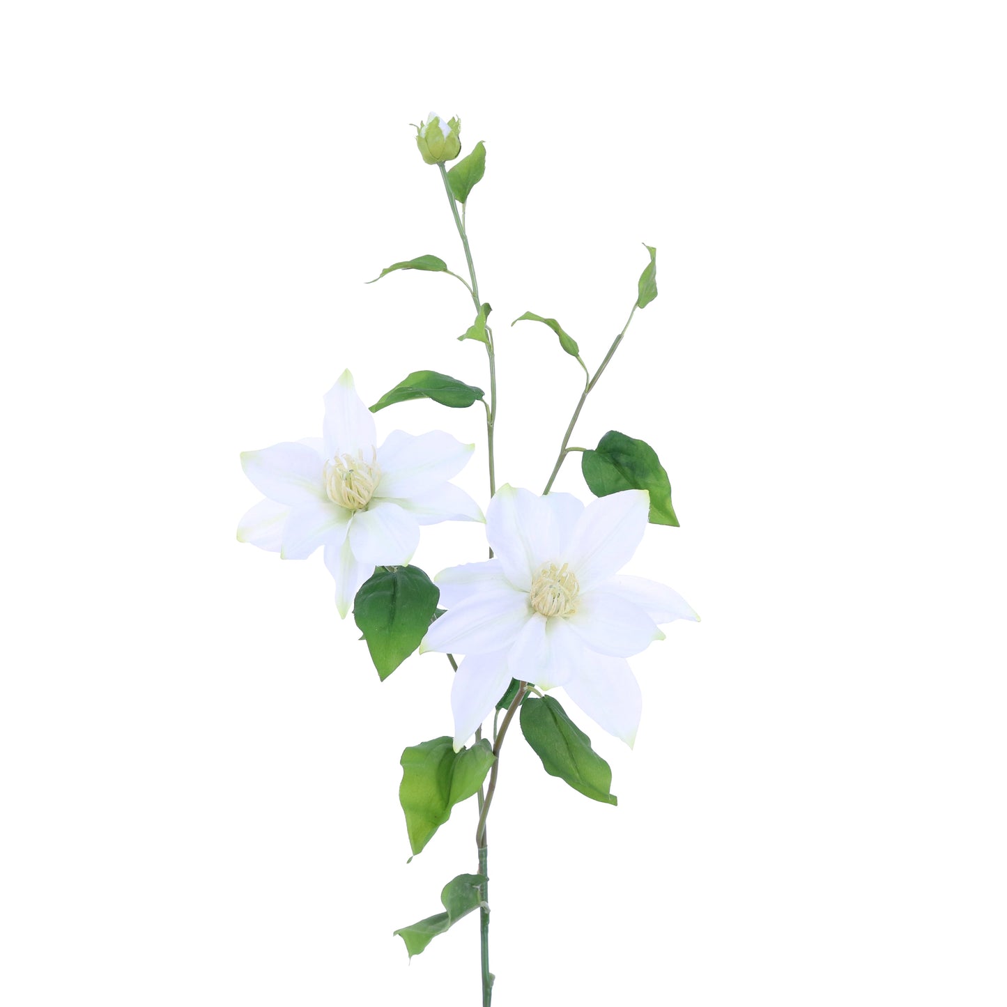 FL11406 CLEMATIS SPRAYx2F1B(NAT),34in-12P