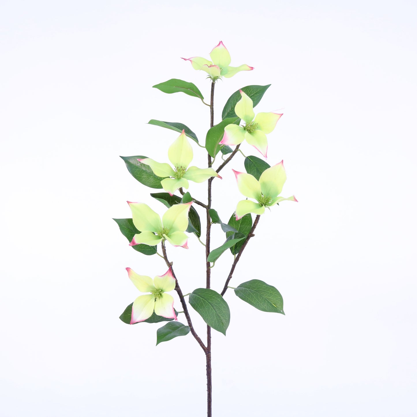 FL11424 DOGWOOD SPRAY,36in-12P/48/6.75'