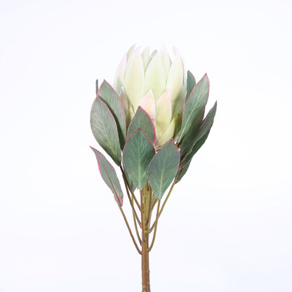 FL11464 KING PROTEA SPRAY,34in-12P/96/12.36