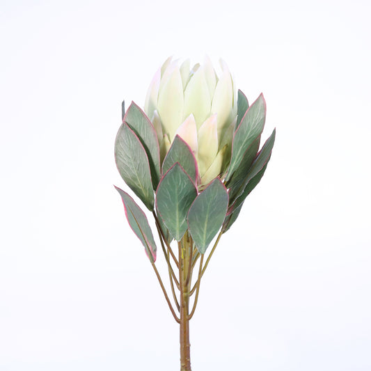 FL11464 KING PROTEA SPRAY,34in-12P/96/12.36