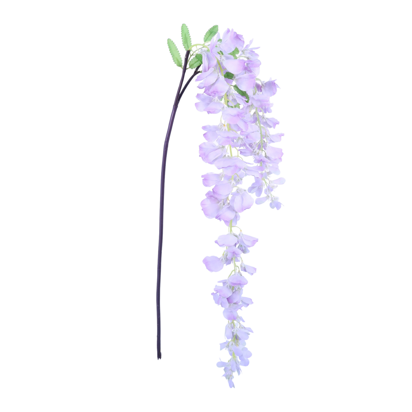 FL11556 WISTERIA SPRAYx3,61in-48P/144/6.89'