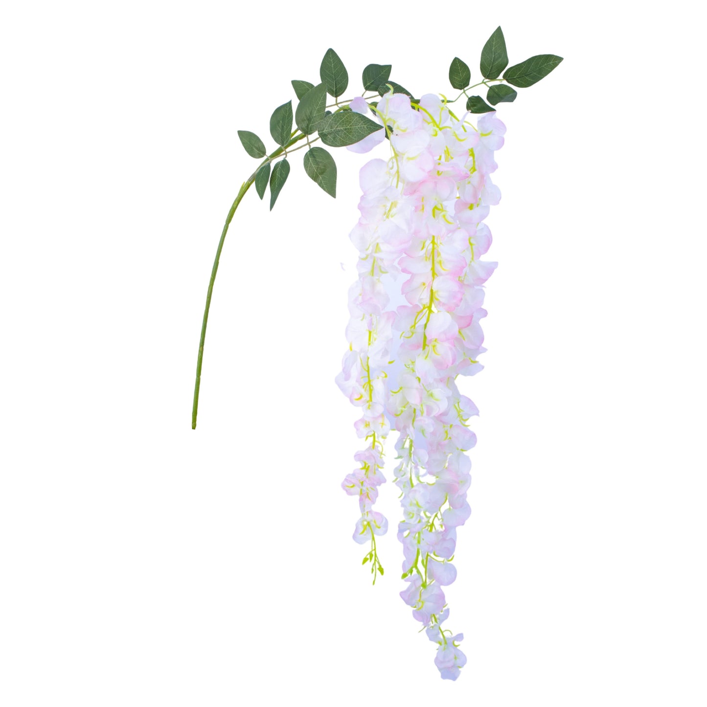 FL11556 WISTERIA SPRAYx3,61in-48P/144/6.89'