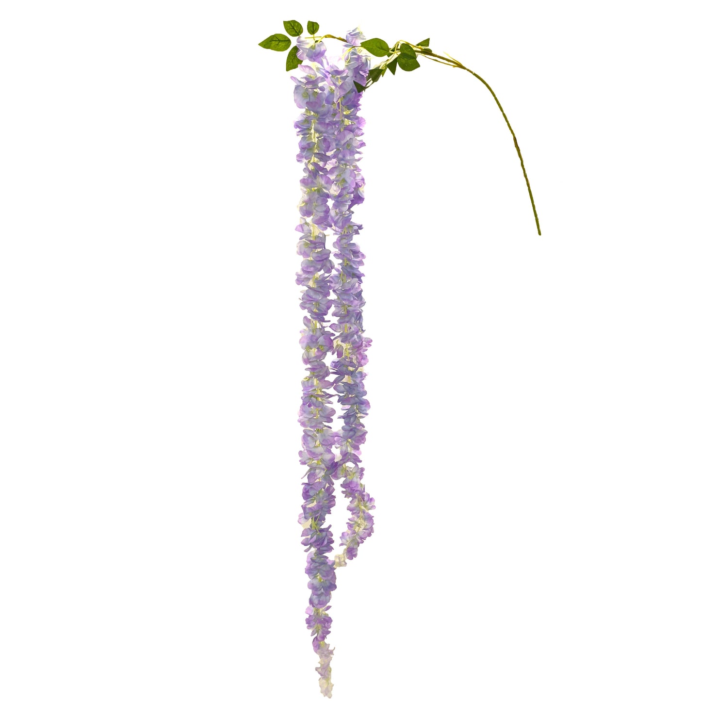 FL11557 WISTERIA SPRAYx3,70in-36/216P