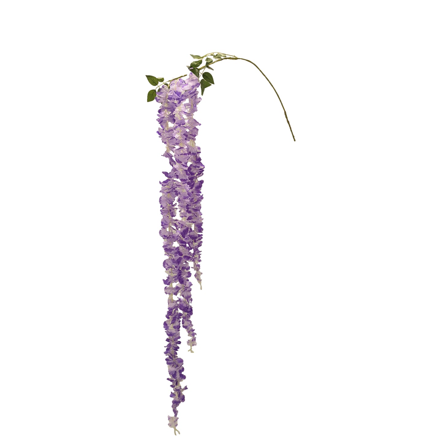 FL11557 WISTERIA SPRAYx3,70in-36/216P