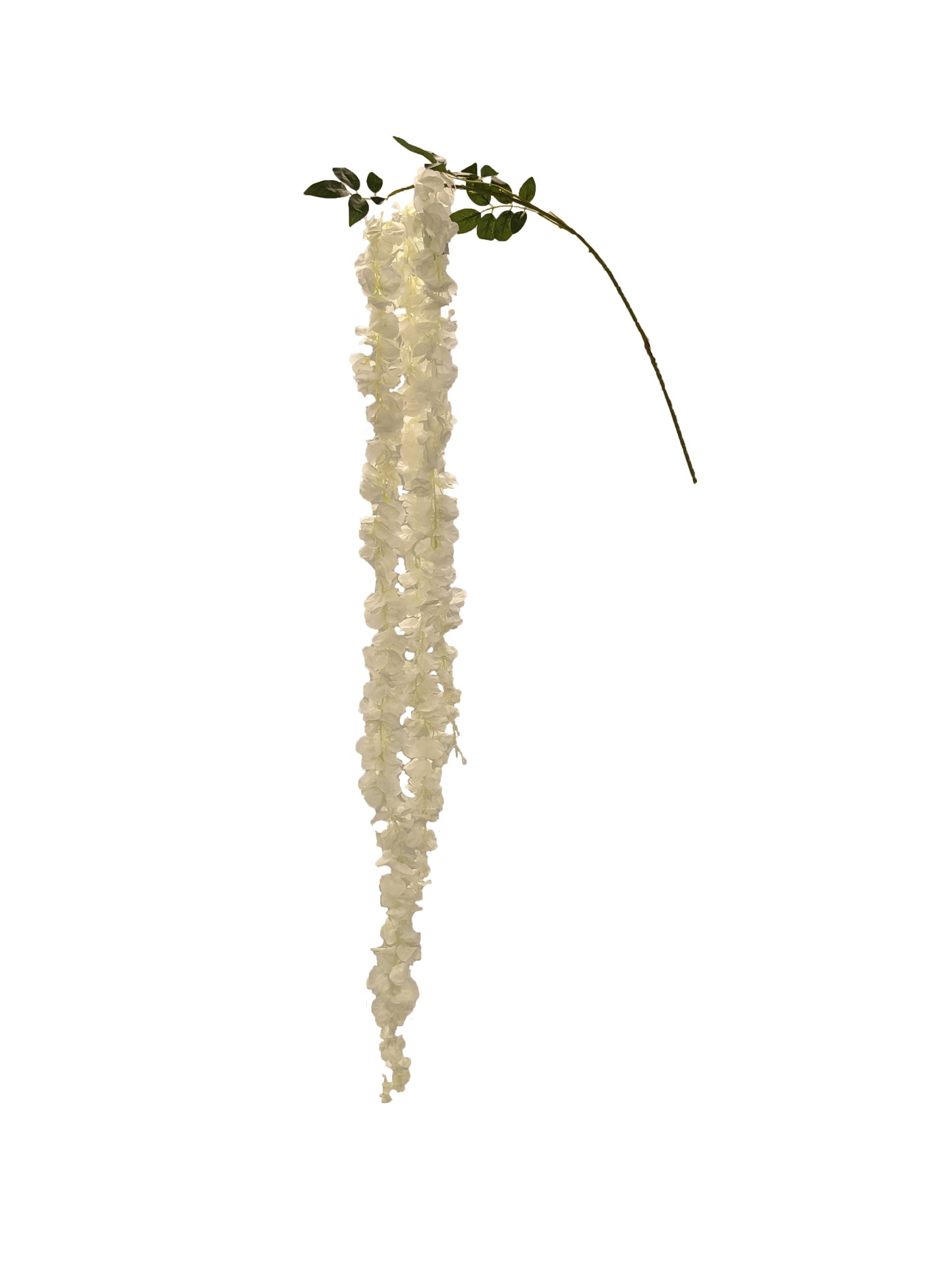 FL11557 WISTERIA SPRAYx3,70in-36/216P