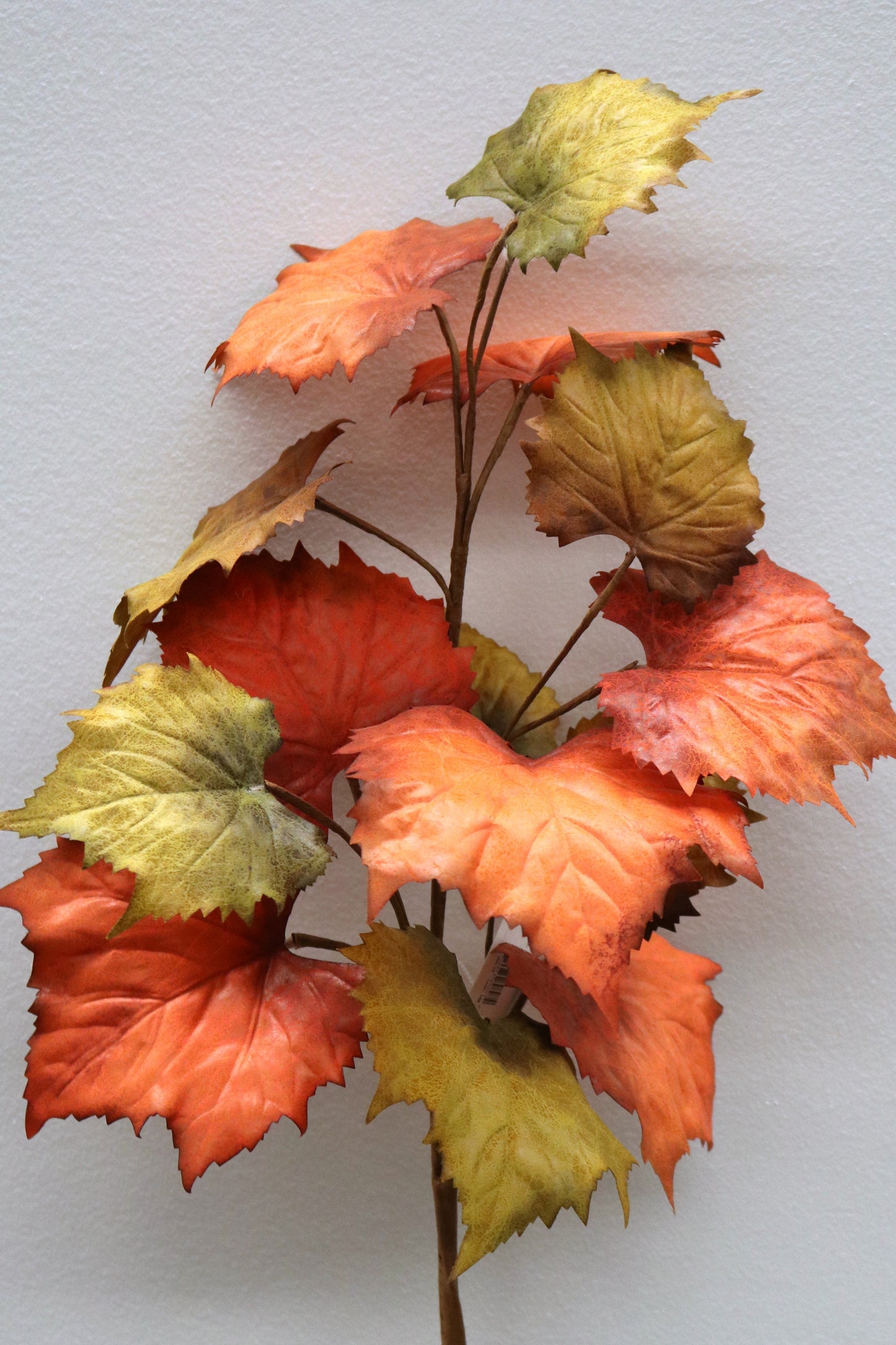 FL11622 GRAPE LEAF SPRAY,37in-12P/144/9.89'