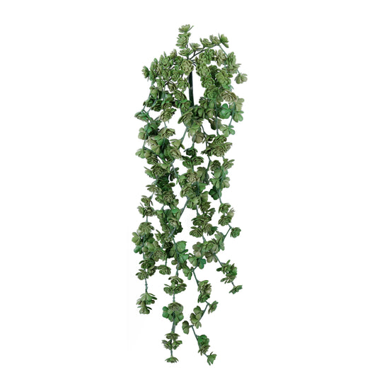 FL11744 WEEPING SUCCULENT,25in-12P/96/4.87'