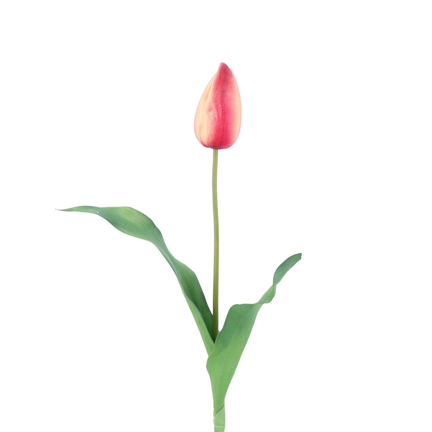 FL11772 DUTCH TULIP BUD,23in-12/144P