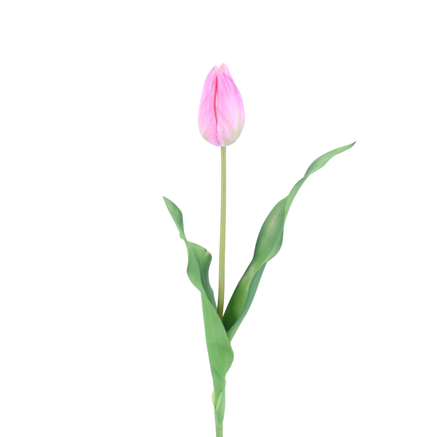 FL11772 DUTCH TULIP BUD,23in-12/144P