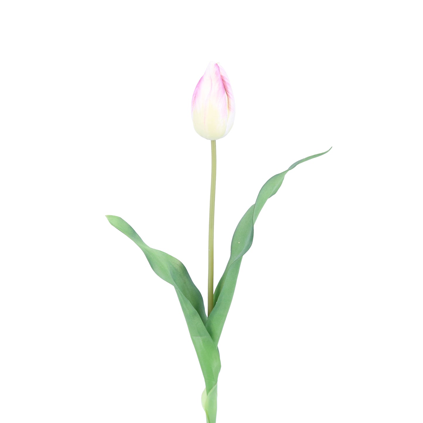 FL11772 DUTCH TULIP BUD,23in-12/144P